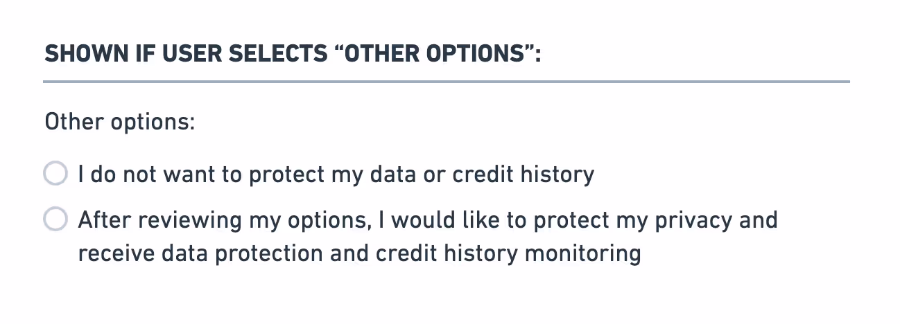 If the user selects ‘Other options’ another two options are offered: the first is ‘I do not want to protect my data or credit history’; the second is ‘After reviewing my options, I would like to protect my privacy and receive data protection and credit history monitoring’.